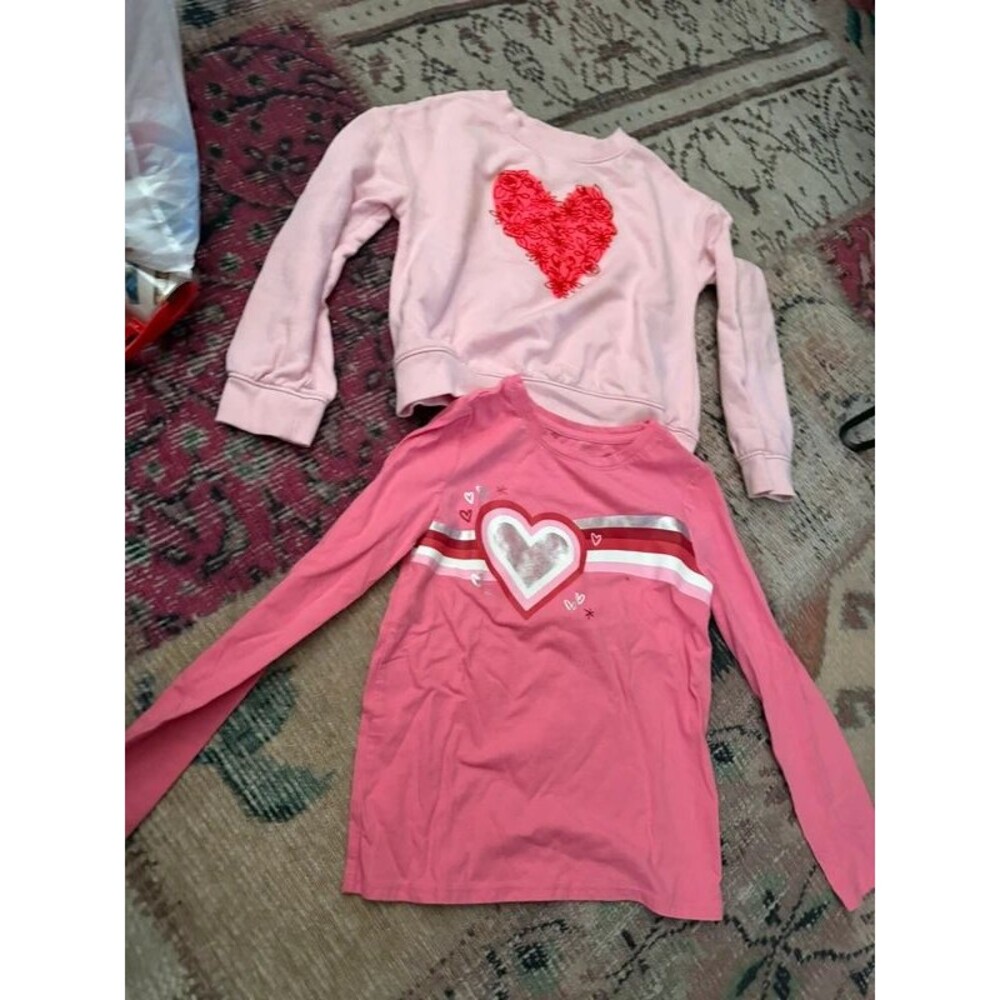 Cat and jack girls heart valentine lot of 2